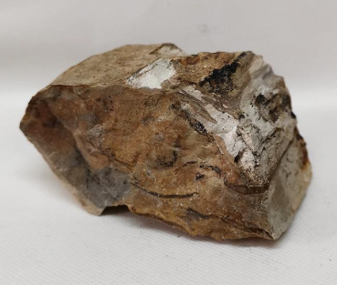 Versteinertes Holz Sumatra